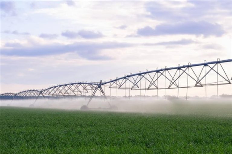 Agricultura Irrigada