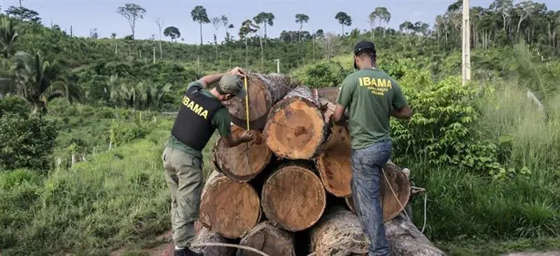 Serviços IBAMA