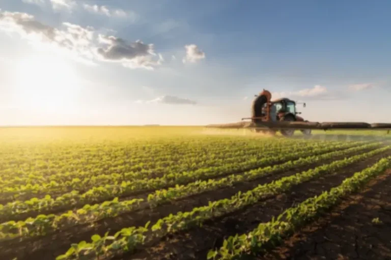 Agricultura Sequeiro