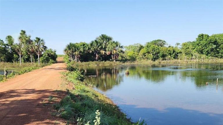 Limpeza de Talude